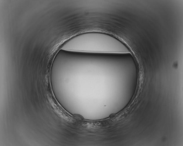 X0000116460345200912090932