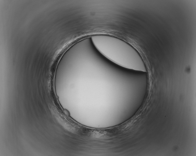 X0000116460346200912090932