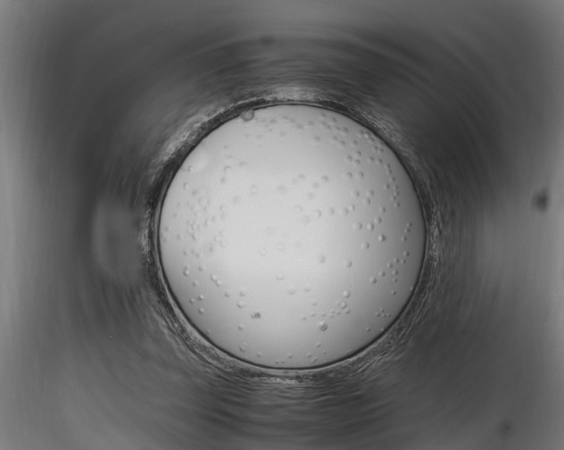 X0000116460347200912090932