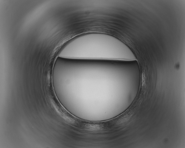 X0000116460349200912090932