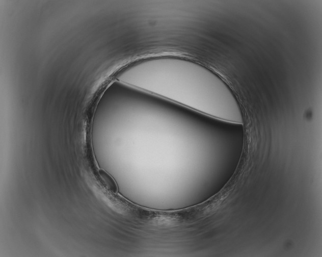 X0000116460350200912090932