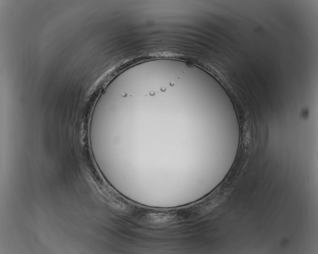 X0000116460351200912090932
