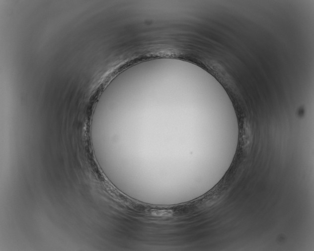 X0000116460355200912090932