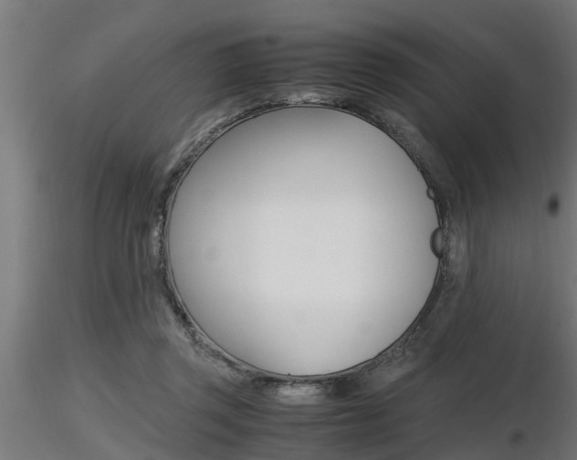 X0000116460357200912090932