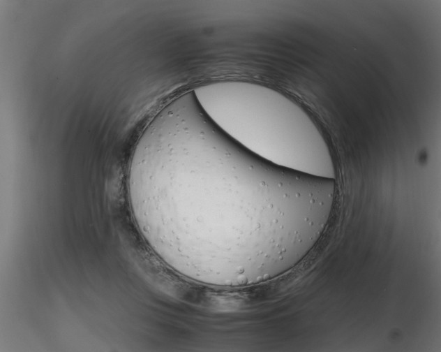 X0000116460359200912090932