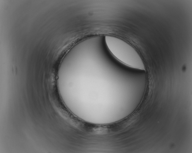X0000116460362200912090932