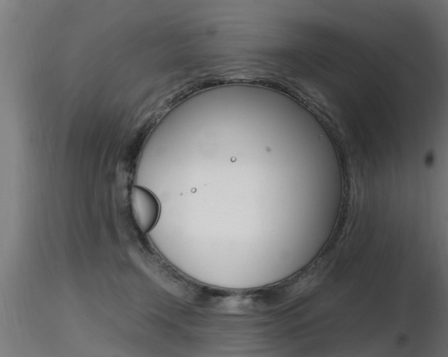 X0000116460366200912090933