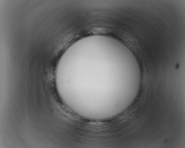 X0000116460367200912090933