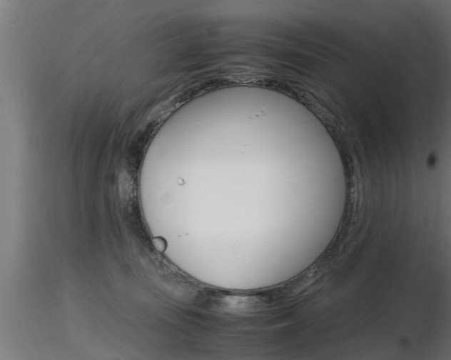 X0000116460371200912090933