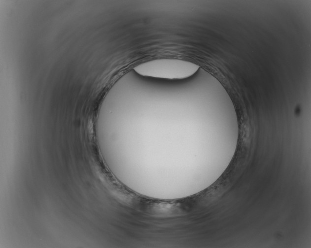 X0000116460375200912090933