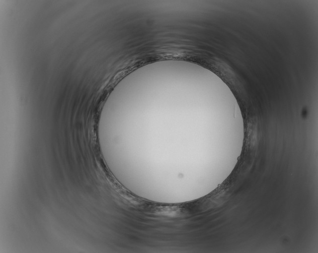 X0000116460377200912090933