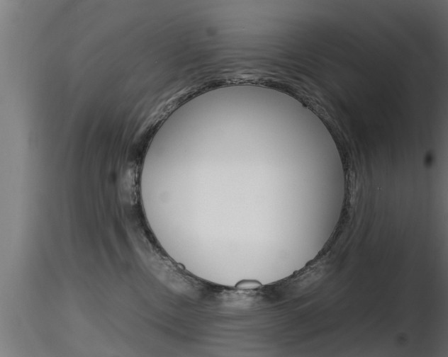 X0000116460378200912090933