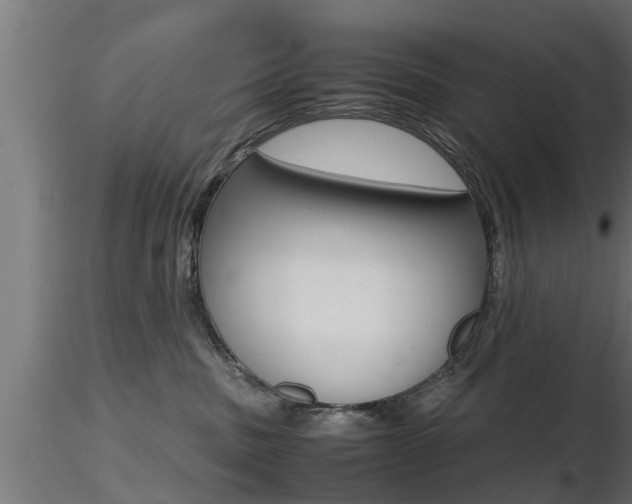 X0000116460379200912090933