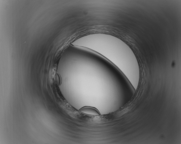 X0000116460382200912090933