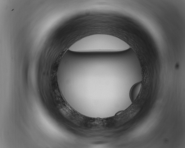 X0000116460383200912090933