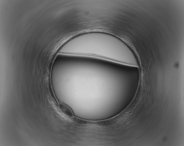 X0000116460389200912090932