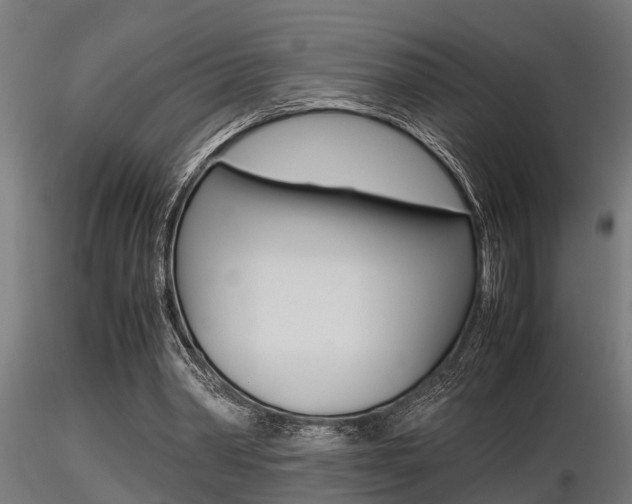 X0000116460390200912090932