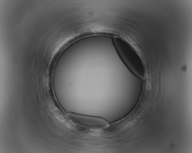 X0000116460391200912090932