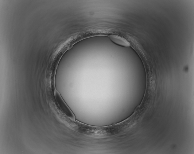 X0000116460395200912090932