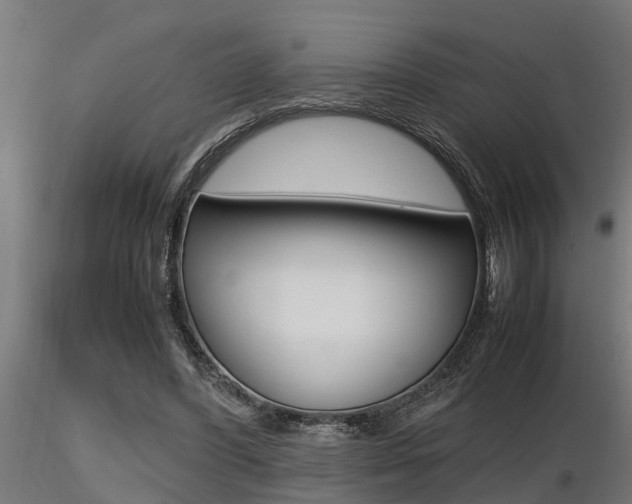 X0000116460396200912090932