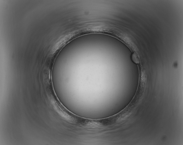 X0000116460397200912090932