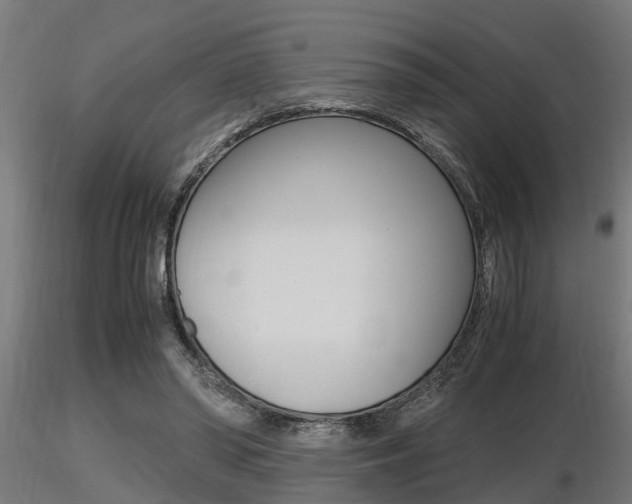 X0000116460398200912090932