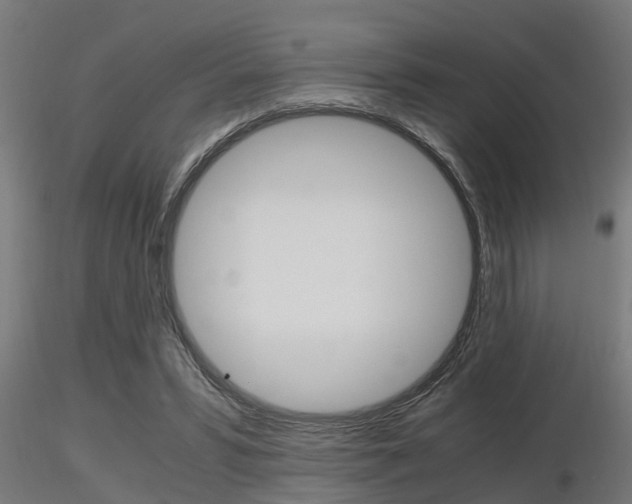 X0000116460399200912090932