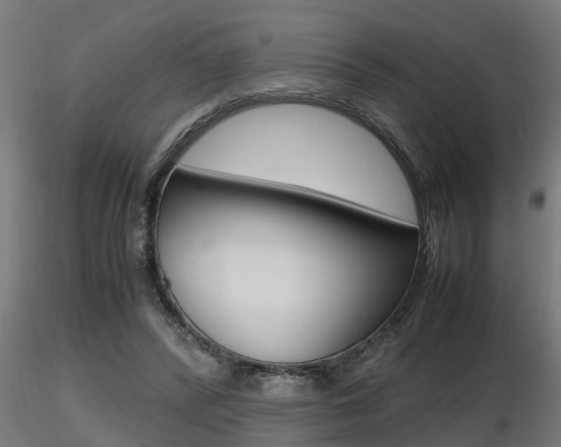 X0000116460400200912090932