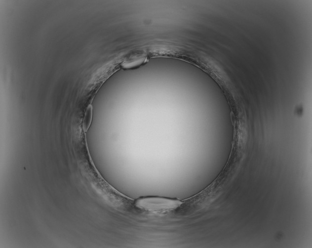 X0000116460401200912090932
