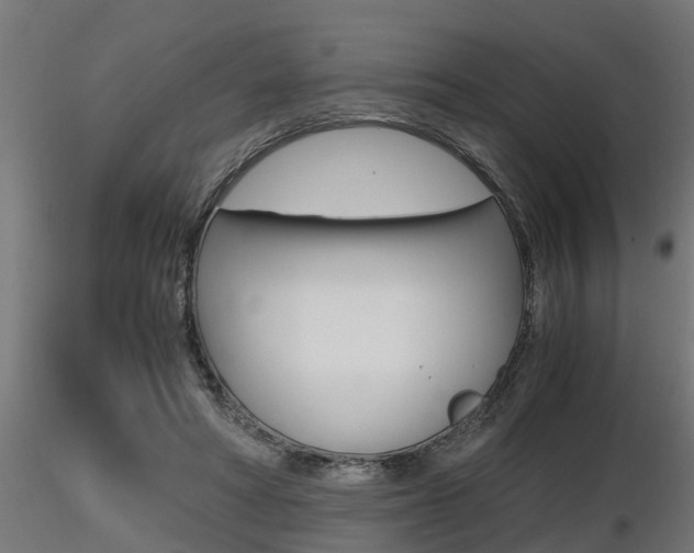 X0000116460402200912090932