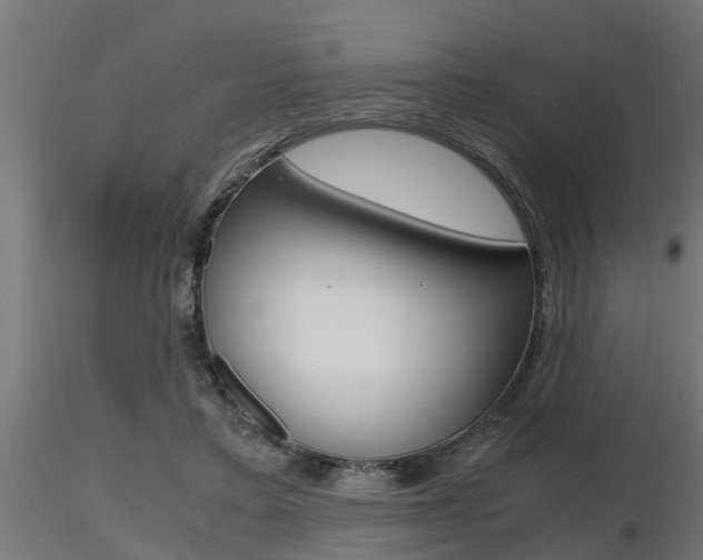 X0000116460403200912090932