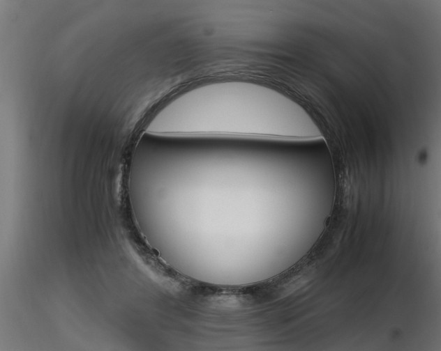 X0000116460404200912090932