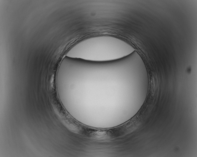 X0000116460406200912090932