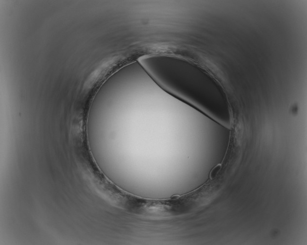 X0000116460407200912090932