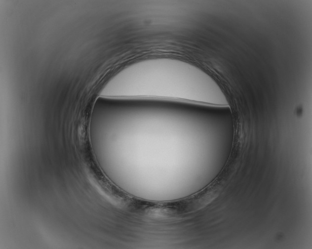 X0000116460408200912090932