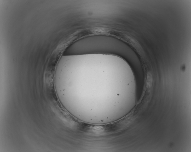 X0000116460409200912090932