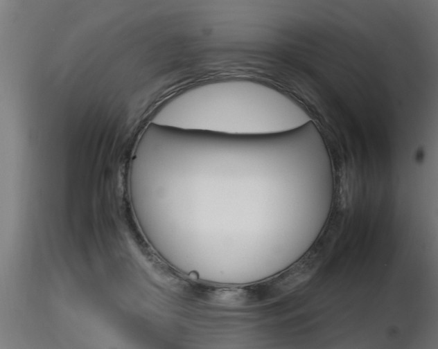 X0000116460410200912090932