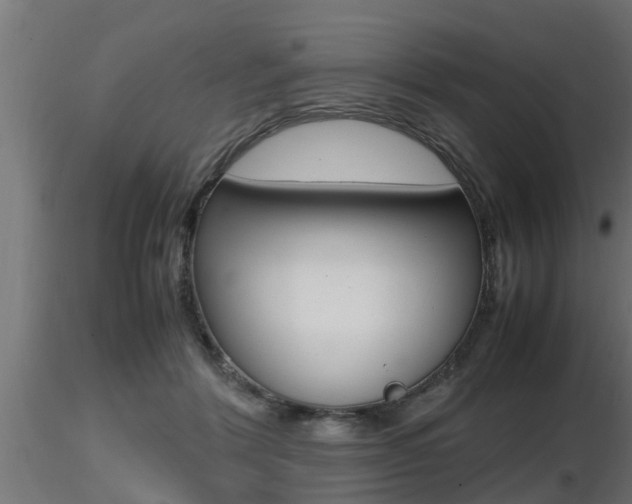 X0000116460412200912090932