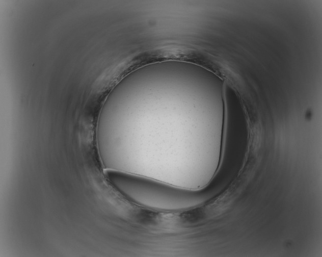X0000116460413200912090932