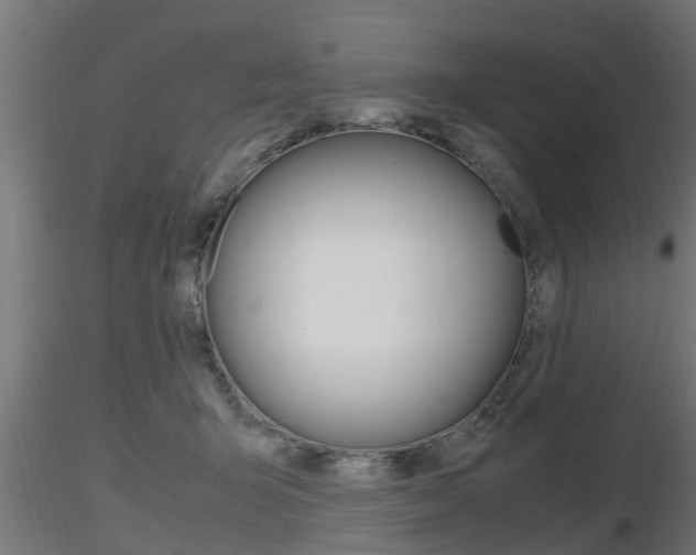 X0000116460415200912090932