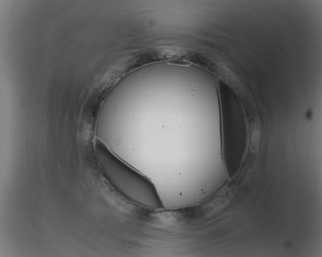 X0000116460417200912090932