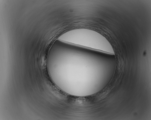 X0000116460420200912090932