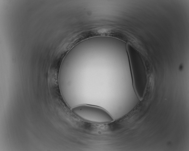 X0000116460421200912090932