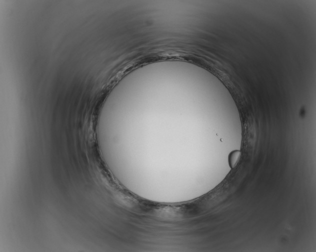 X0000116460422200912090932