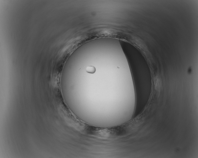 X0000116460423200912090932