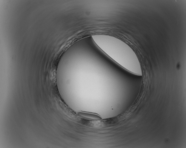 X0000116460425200912090932