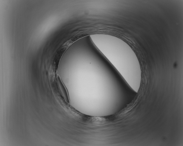 X0000116460429200912090932