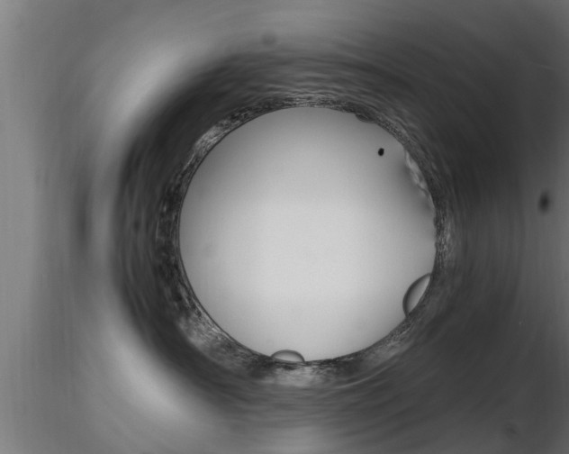 X0000116460430200912090932