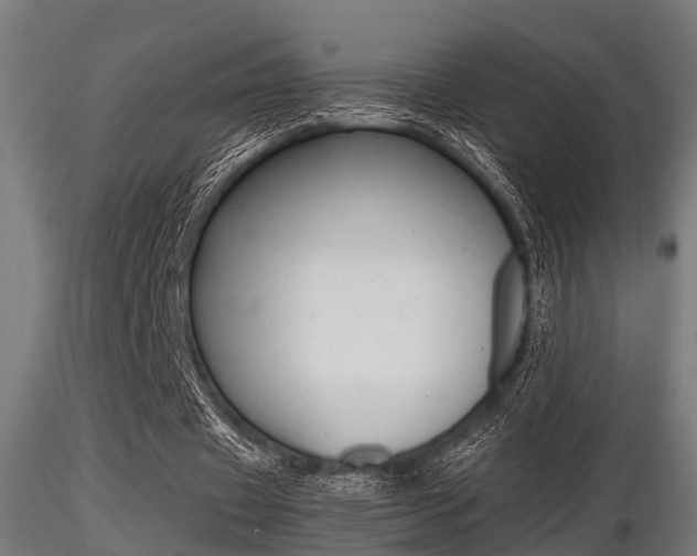 X0000116460433200912090931