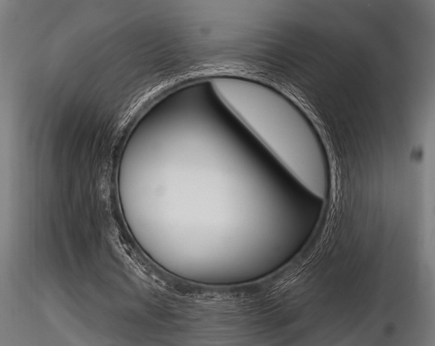 X0000116460434200912090931